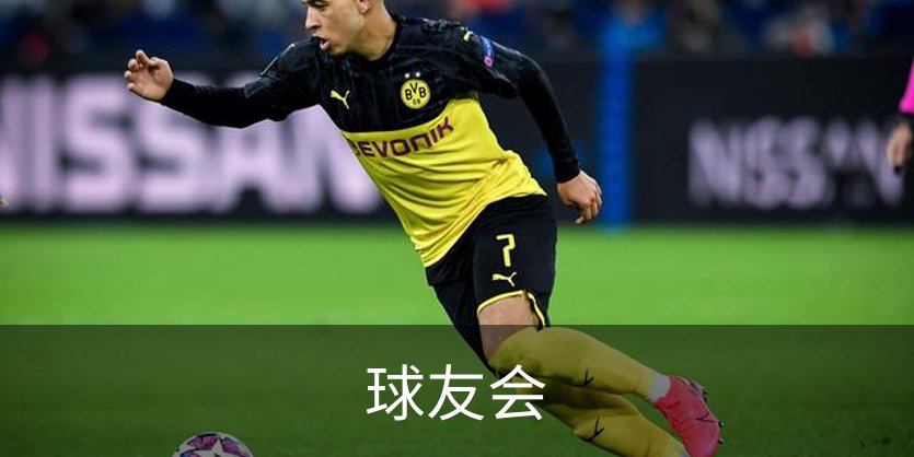 球友会概况
